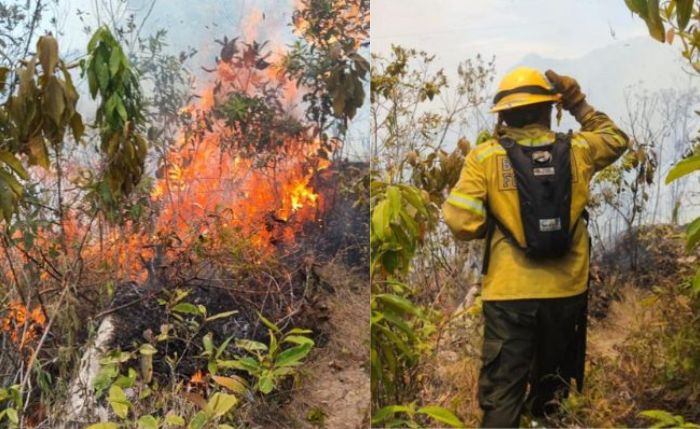 Los recientes incendios en Cundinamarca generaron afectaciones en áreas rurales y mantienen activos los operativos de control.