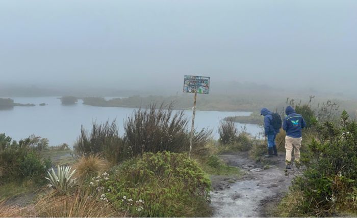 Un tesoro ambiental de más de 120 hectáreas en la Reserva Forestal Protectora Bosque Oriental de Bogotá, vuelve a manos de la CAR tras una larga batalla legal