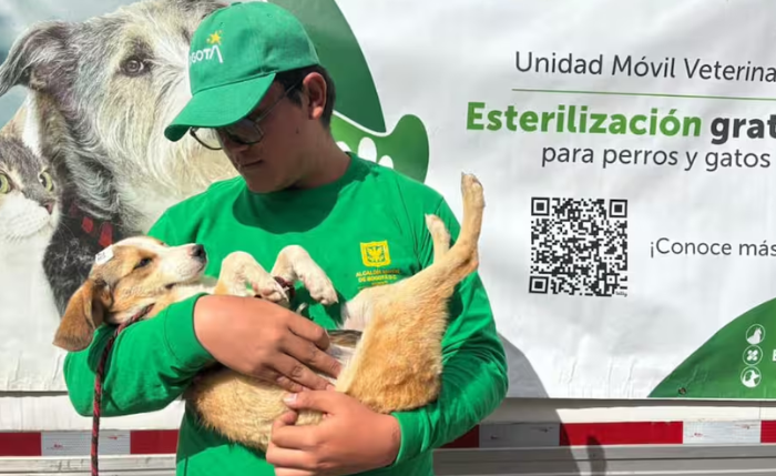El Distrito abrió el agendamiento para cirugías de esterilización gratuitas dirigidas a hogares de estratos 1, 2 y 3 y población en condición de vulnerabilidad.