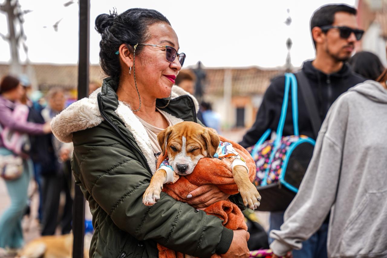 Mientras la ciudad suma miles de intervenciones, una nueva fase de esterilizaciones gratuitas comienza a rodar con una unidad móvil que llegará a barrios y veredas.