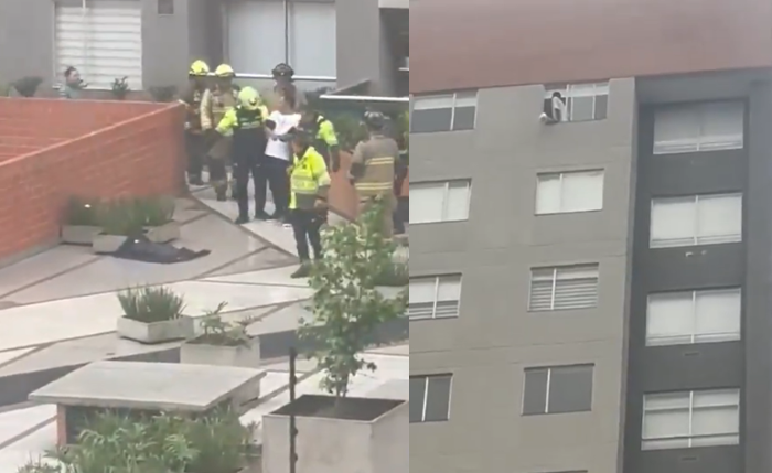 Un nuevo caso de maltrato animal sacude a Bogotá: un perro fue arrojado desde un piso 25 y el hecho ya avanza bajo la Ley Ángel, mientras el Distrito acompaña el proceso para garantizar justicia.